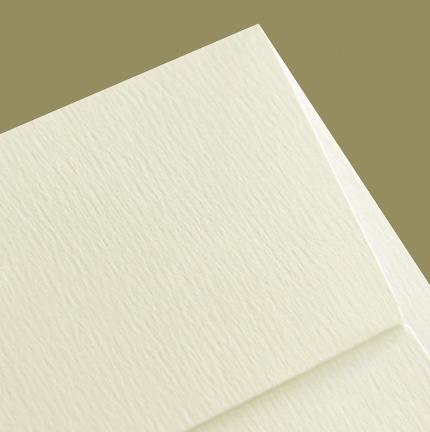 КОНВЕРТЫ RIVES CREAM Е65 110х220 мм с тиснением | Пр-во Arjowiggins (UK) QR60 - фото 40984